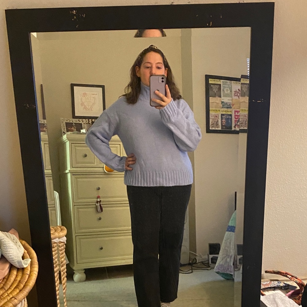 Everlane CloudSoft  Oversized Turtleneck Sweater - Picture 6 of 6